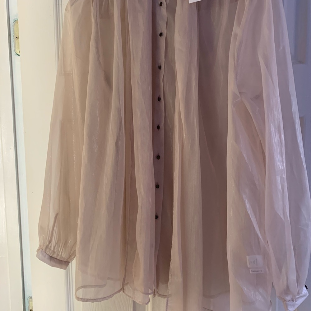 Sheer blouse